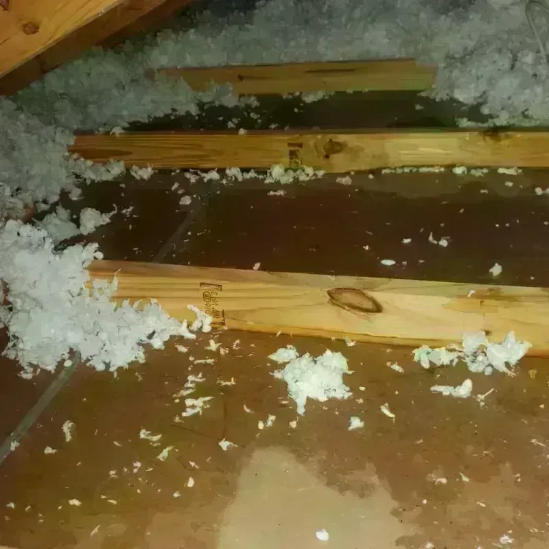 Attic Water Damage in Mascoutah, IL