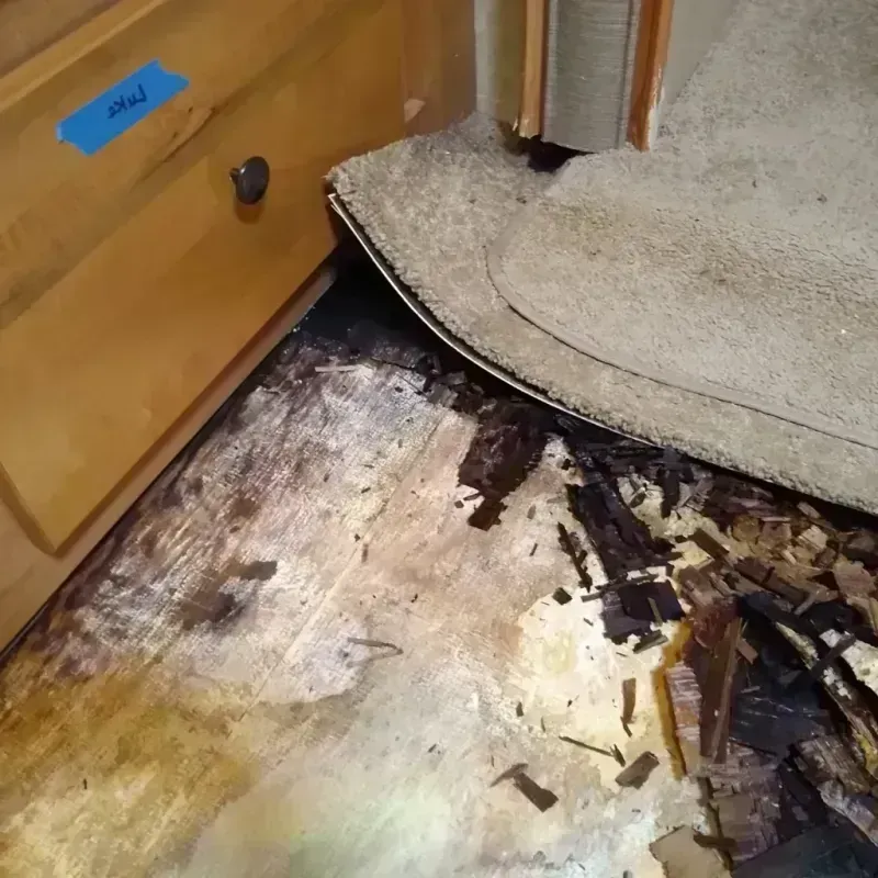 Wood Floor Water Damage in Mascoutah, IL